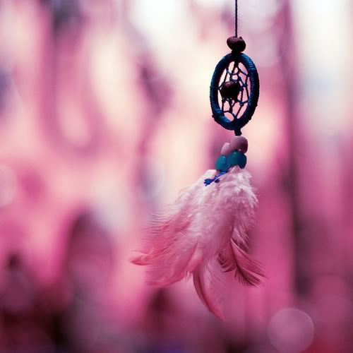 108487-Pink-Dream-Catcher